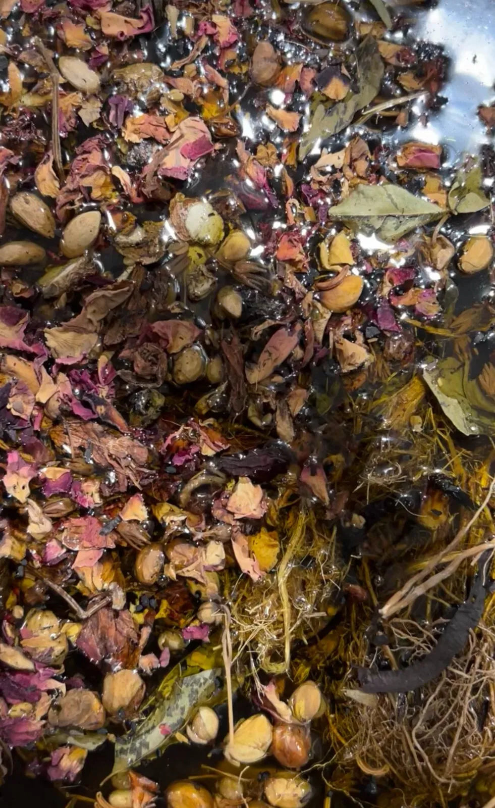 AYURVEDIC HERBS IN OIL